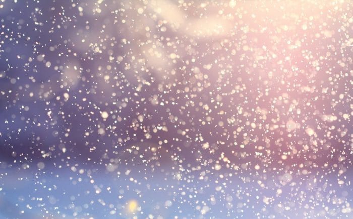 Dandruff Sensitive Scalp Best Explanations by Dermatologist