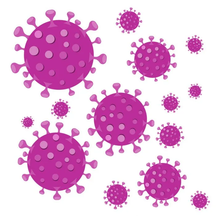 Viral Warts Treatment Virus Dermatologist