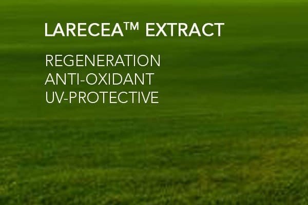 Botanical Extract Facial Dermatologist Singapore