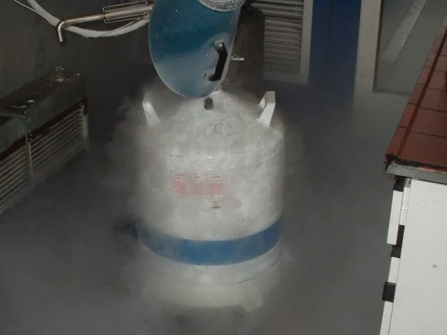 Liquid Nitrogen for Cryosurgery of Genital Warts