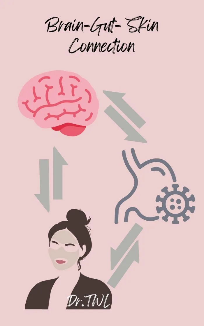 Brain Gut Skin Connection