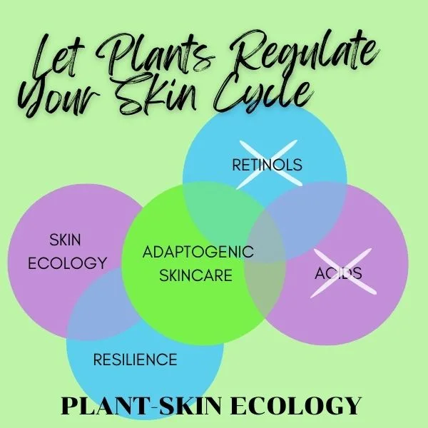Let Plants Regulate your Skin Cycle