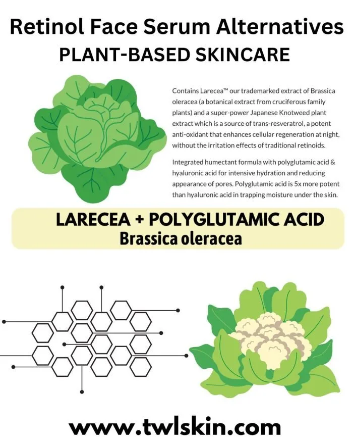 Plant Based Skincare