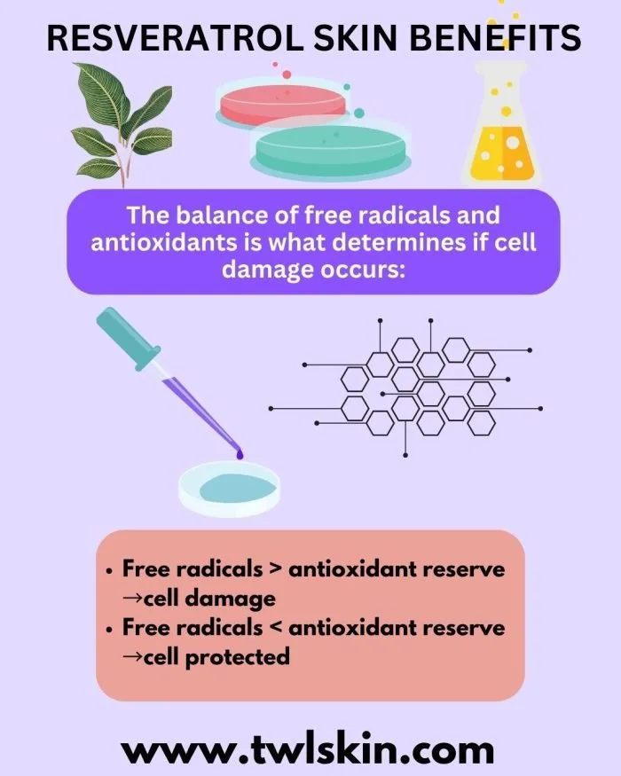 Balance of Free Radicals and Antioxidants Determines Cell Damage