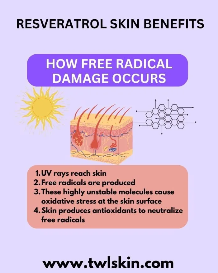 How Free Radical Damage Occurs