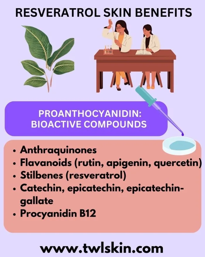 Proanthocyanidin Bioactive Compounds