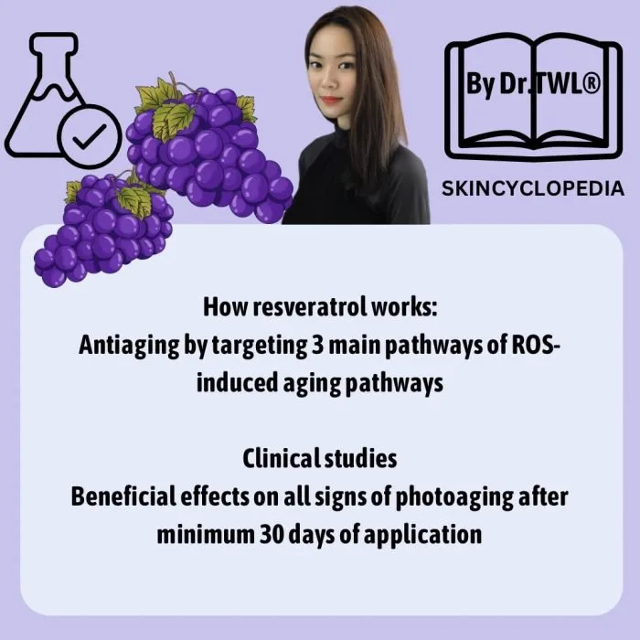 How Resveratrol Works