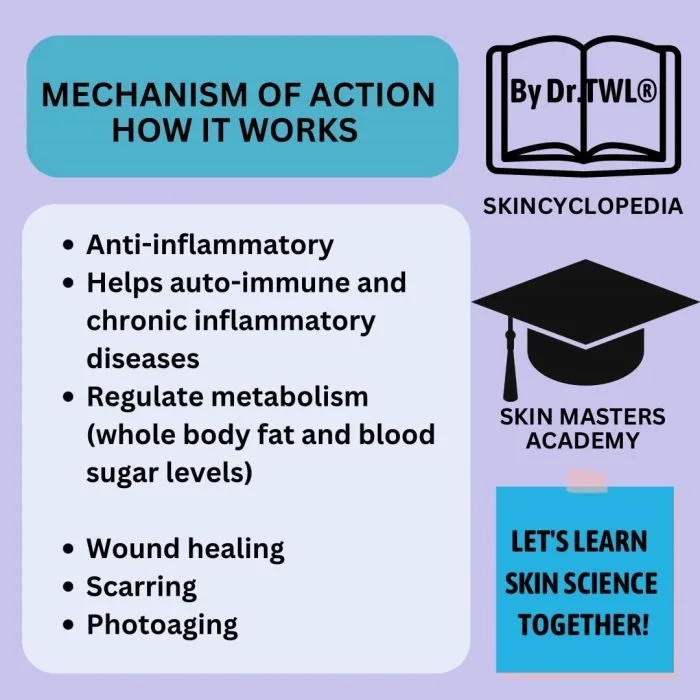 Mechanism of How Resveratrol Works in Wound Healing