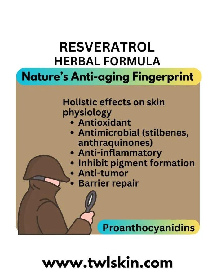 Resveratrol Holistic Effects on Skin Physiology