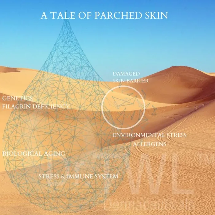 Patched Skin
