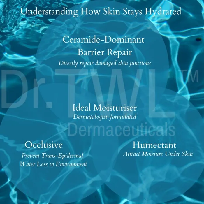 Ceramide Dominant Barrier Repair